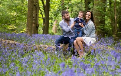 Bluebell photo sessions in Chorleywood